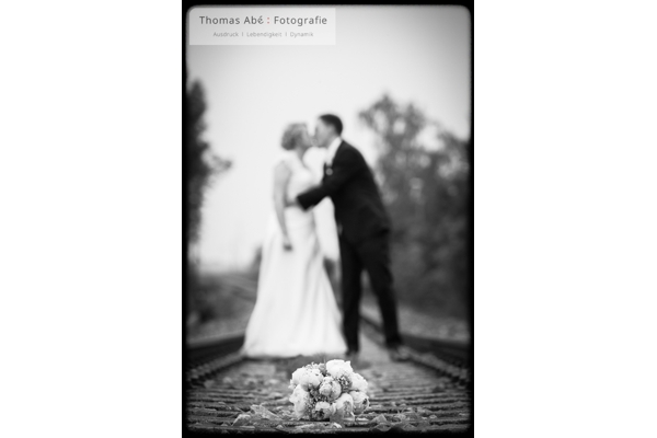 DES FOTOGRAFEN SCHÖNSTEN TAGE