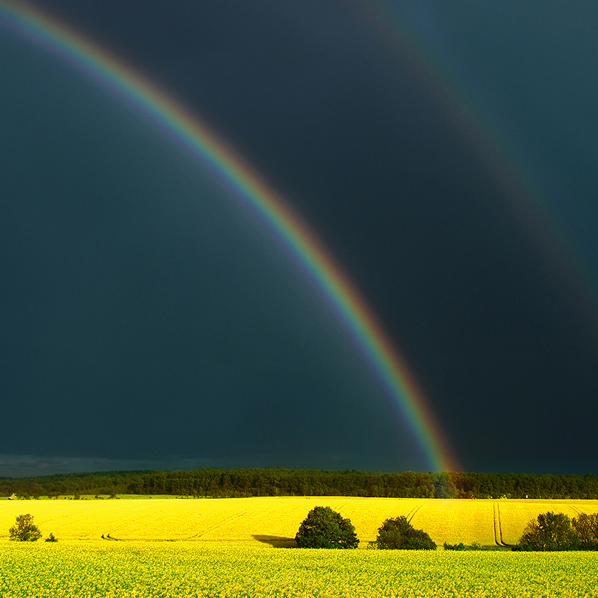 Die 8MP Landschaft